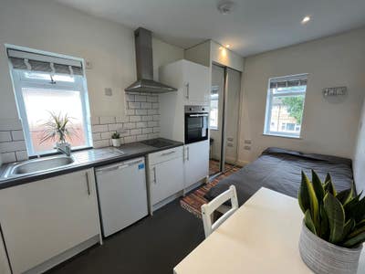 Studio with private bathroom and kitchen.  Main Photo