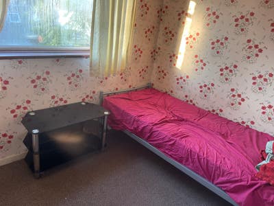 One single room available  Main Photo