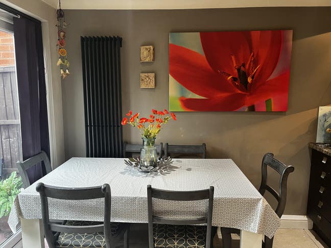 Double Room, Must Like Pets and Cooking Main Photo