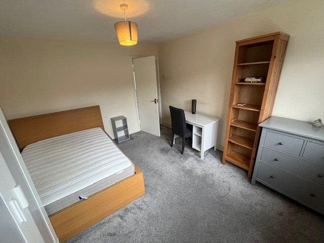 Lovely Room in East Ham Main Photo