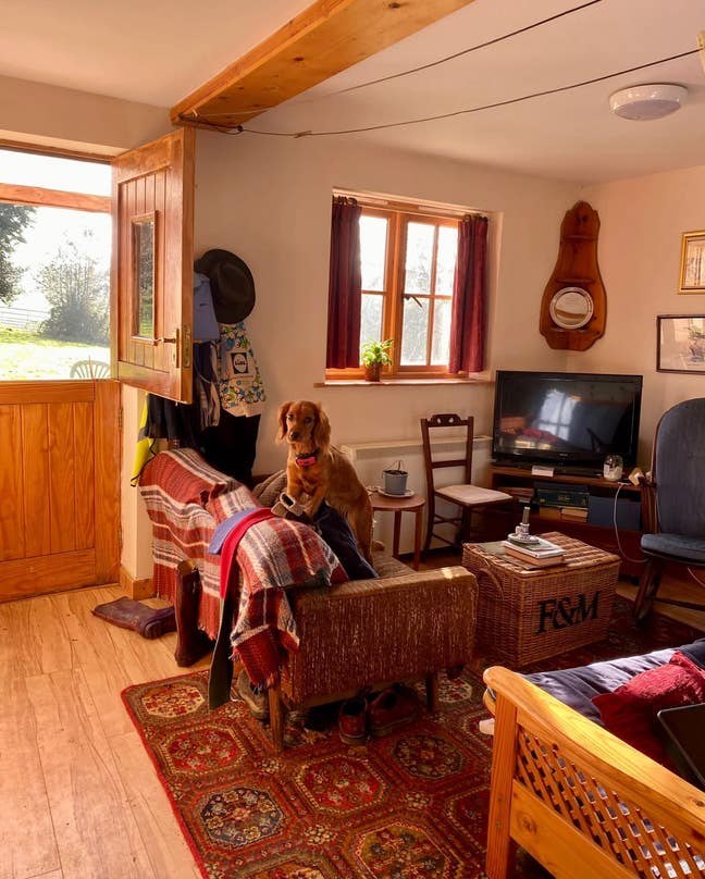 Large double room in shared professional house Main Photo