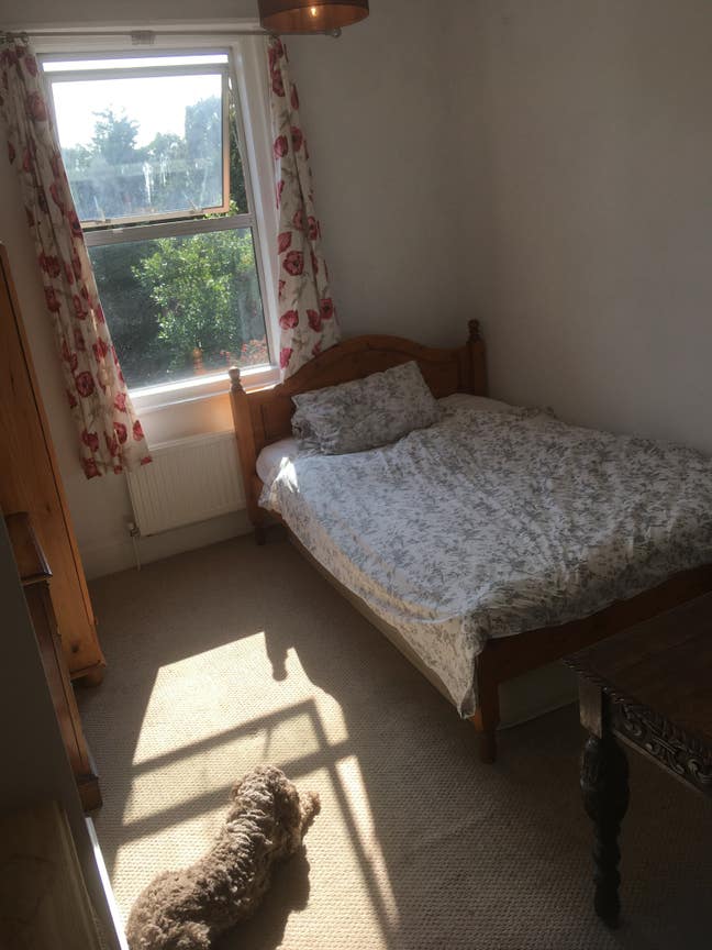 Lovely room Main Photo