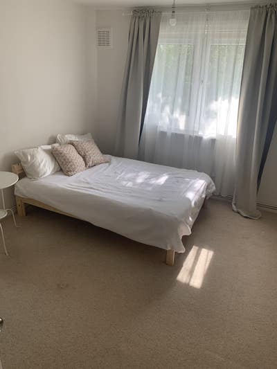 Double room in Clapham/Stockwell area Main Photo