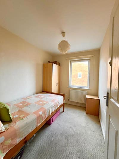 Spacious room available  Main Photo