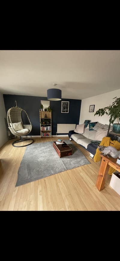 Calm professional looking for short-long Let Main Photo