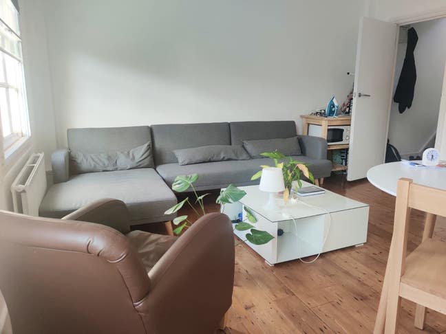 Large Double En Suite Room in Bloomsbury Main Photo