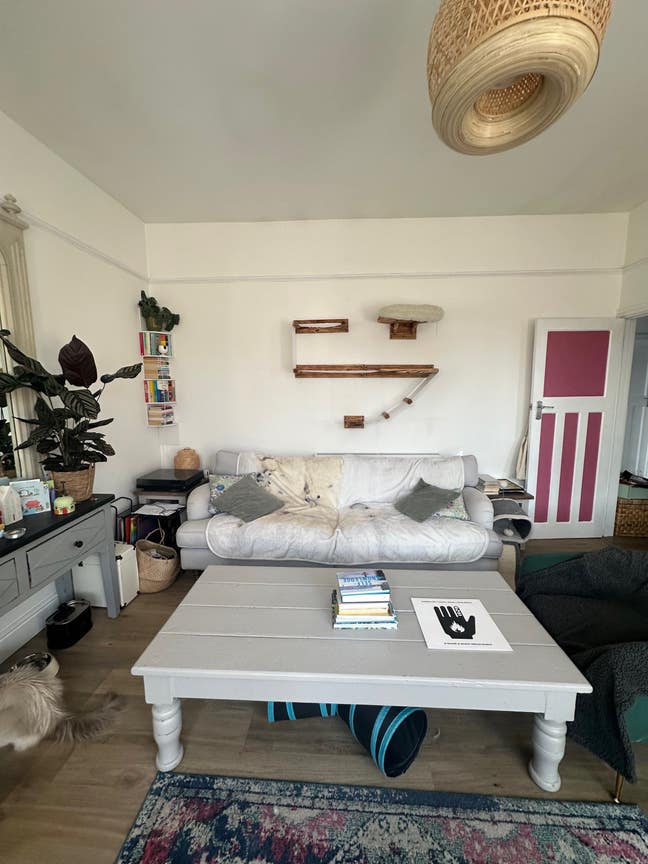 Double room in spacious bright Hotwells flat Main Photo