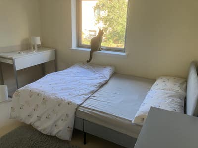 A quiet double bedroom available for rent Main Photo