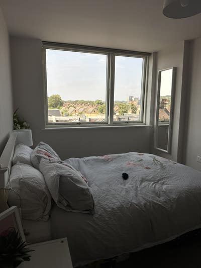 Bright furnished double room and private bathroom  Main Photo