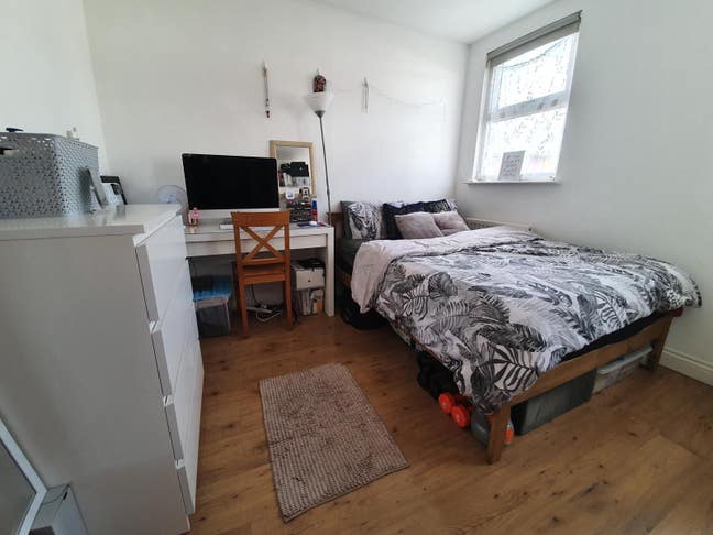 Looking for a Lovely Lady to Join Our Home Main Photo