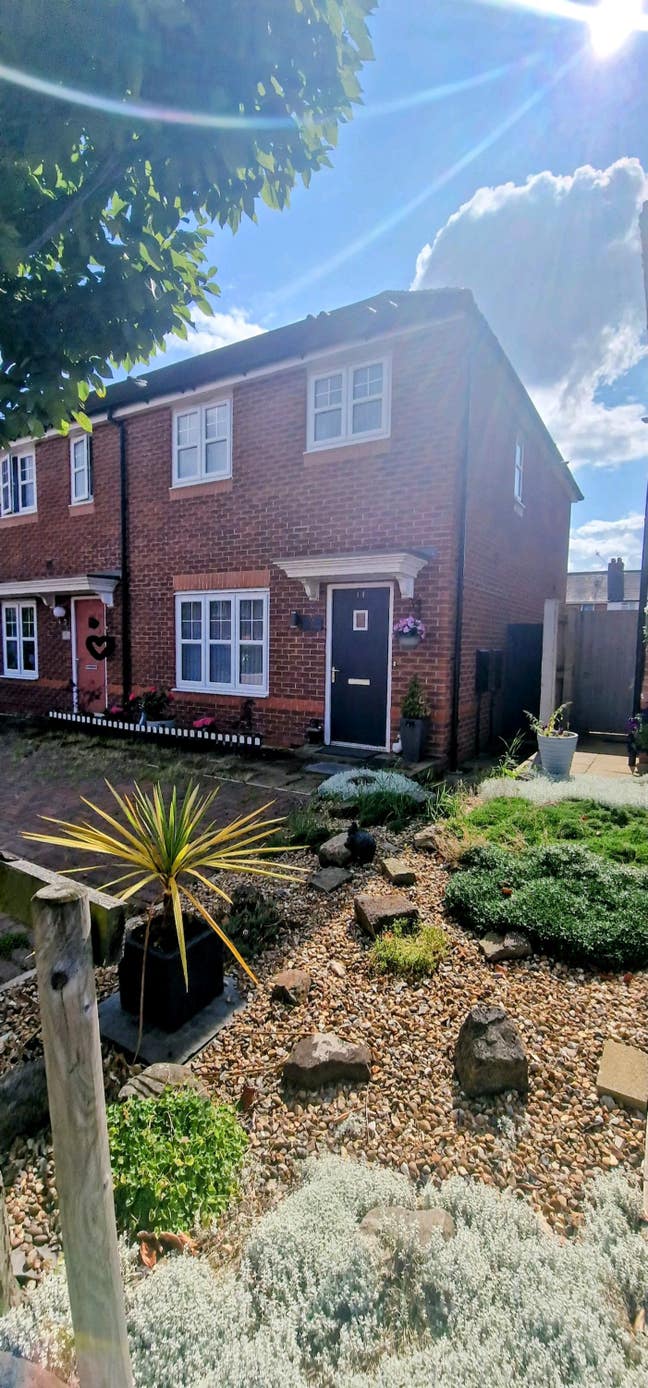 Immaculate 3 bedroom house  Main Photo