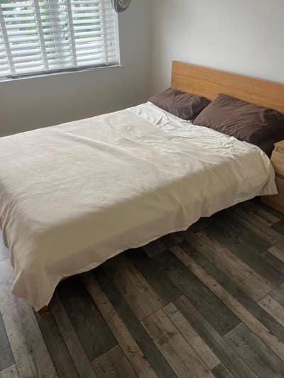 Gorgeous double room in Shirley  Main Photo