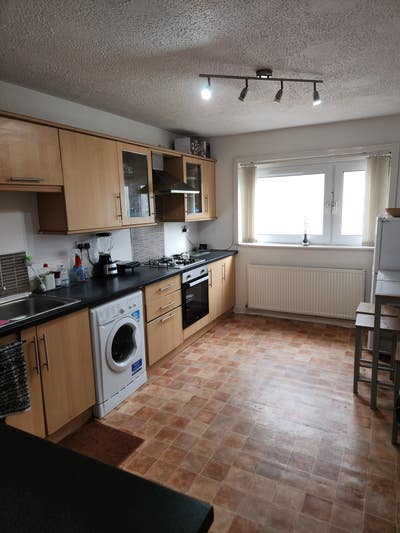 Cosy furnished bedroom in Hamilton Main Photo