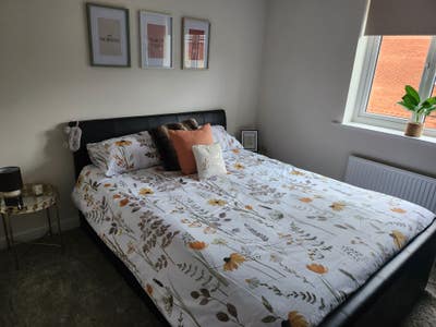 Brand new king-size room to rent Main Photo