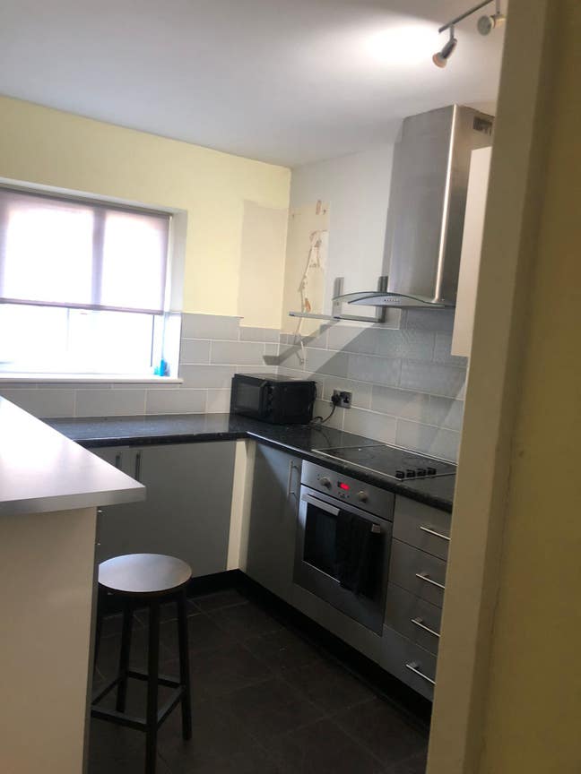 Large Single  Room Available  Main Photo