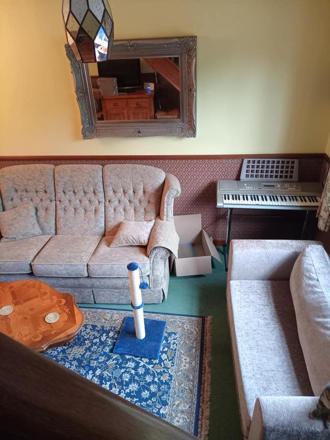 Room to rent  Main Photo