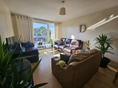 Sunny 2 Bedroom Flatshare in Dennistoun Main Photo