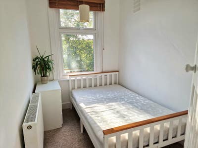 Bright Cosy Room in Superb Location!  Main Photo