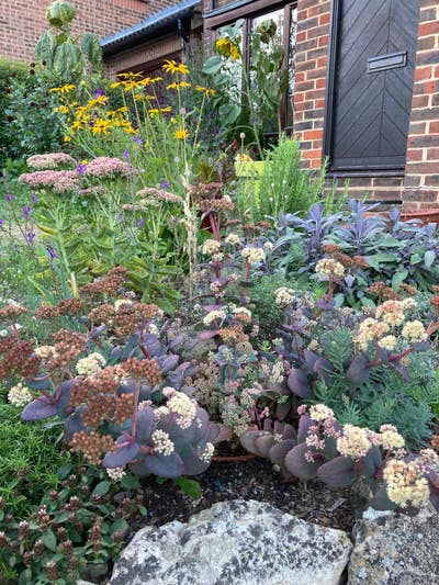Robertsbridge houseshare Main Photo
