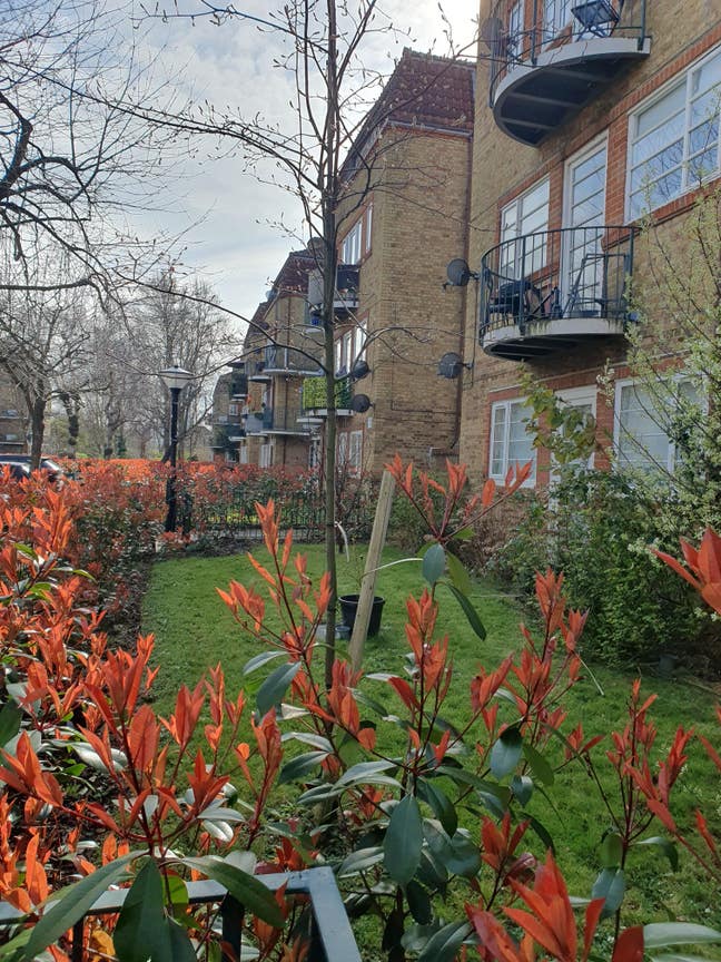 SE16-Garden room by river - 3 mins to Canary Wharf Main Photo