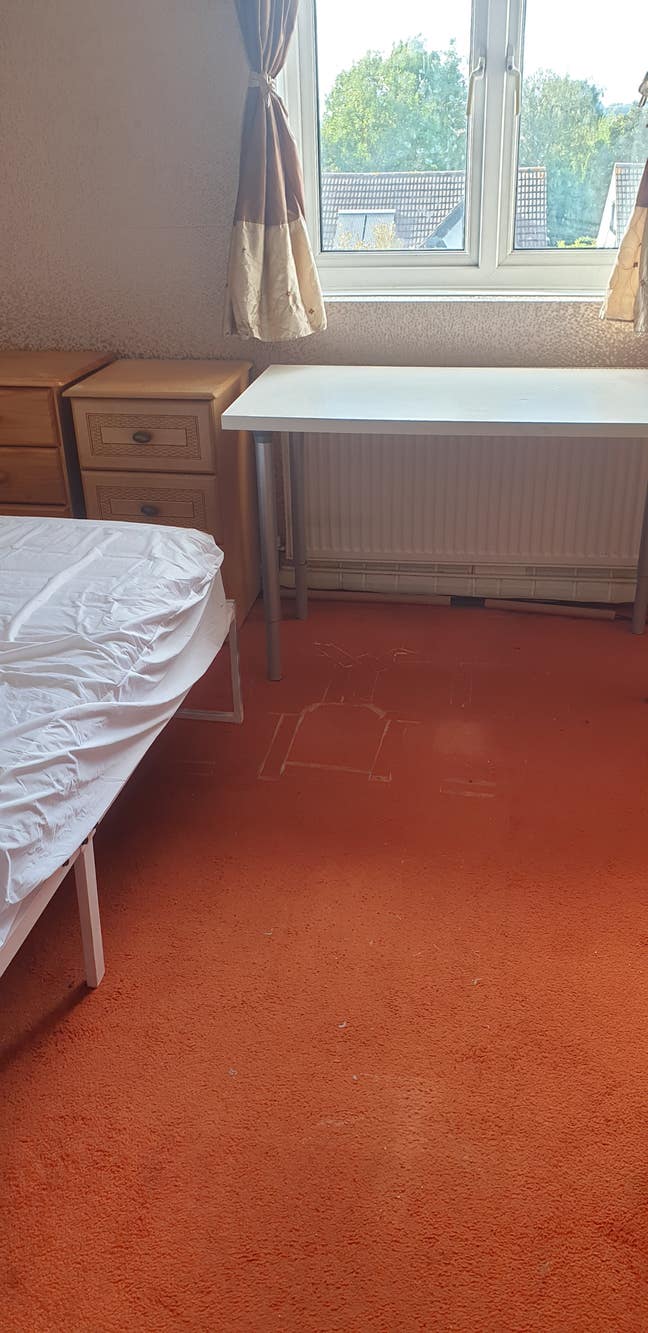 Lovely Room Close to Transport Main Photo
