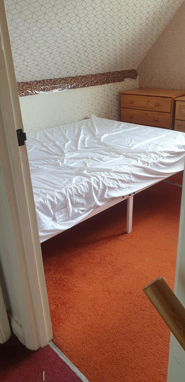 Lovely Room Close to Transport - 1 flat mate Main Photo