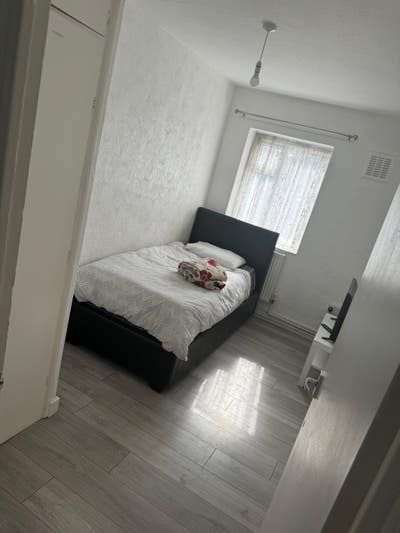 Rooms Available in a Recently Renovated Home  Main Photo