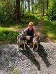 Looking for a pet friendly room or buddy up  Main Photo