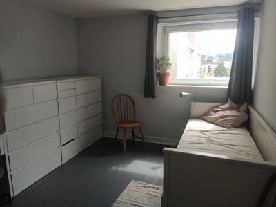 Double bedroom Near Napier & HW Uni (bills includ) Main Photo