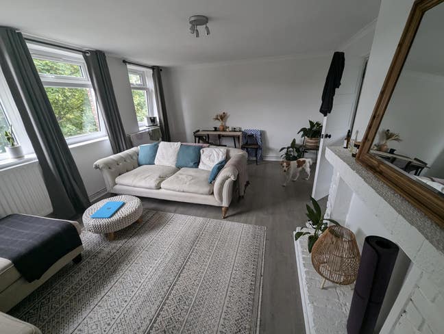 Cozy room for sublet Main Photo