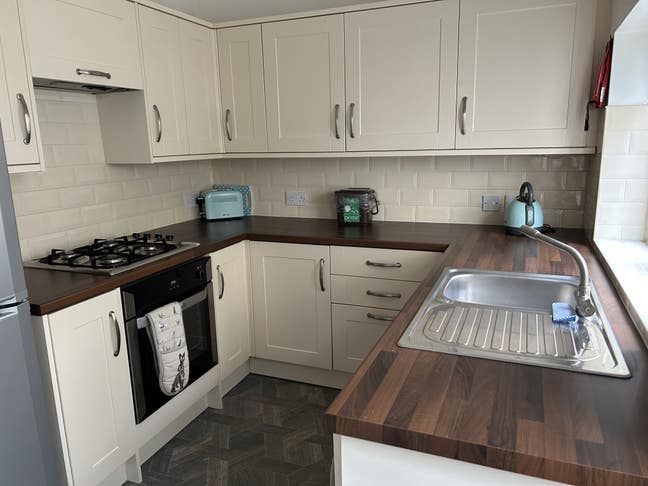 Room Available - Quiet Central Location  Main Photo