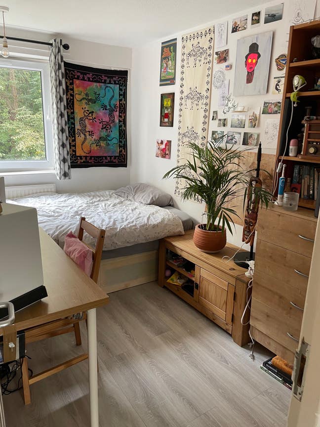 Cozy queer home in Mile End Main Photo