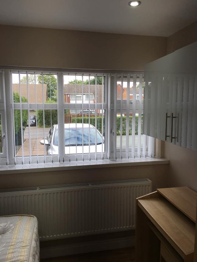 Studio Apartment Available  Main Photo