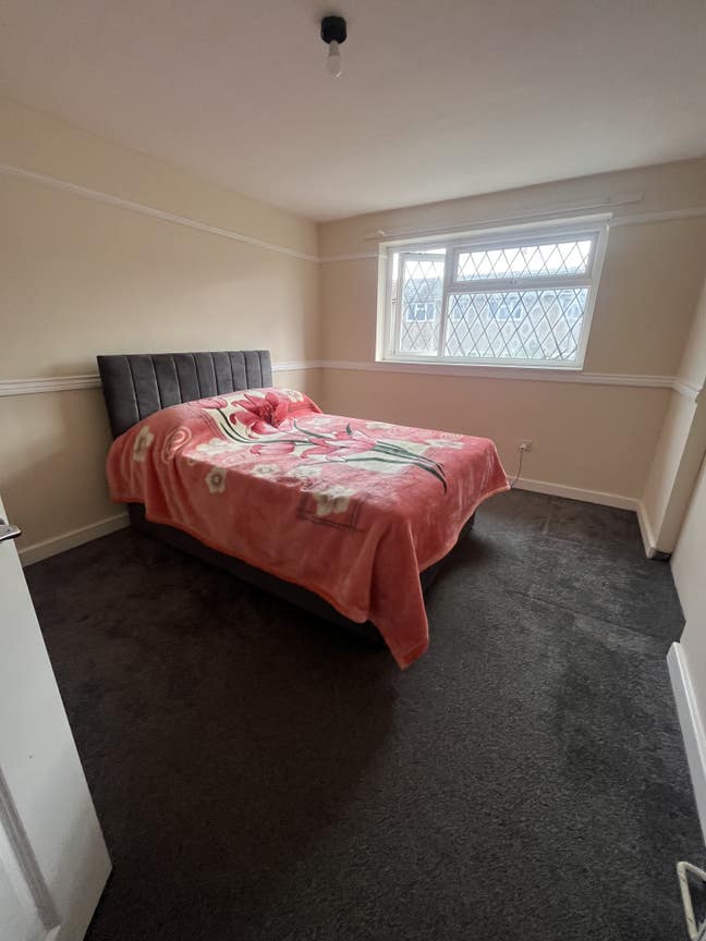 Large Room Including All Bills Available Immediate Main Photo