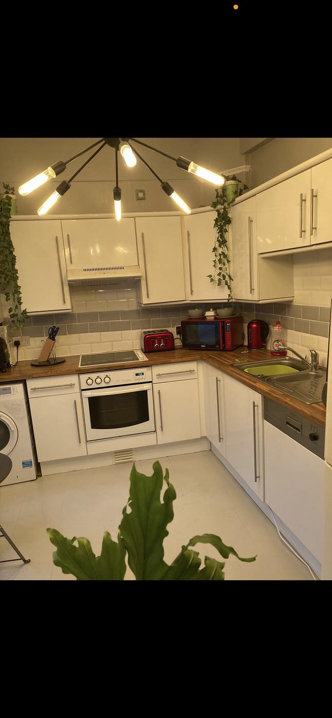 Beautiful flat Main Photo