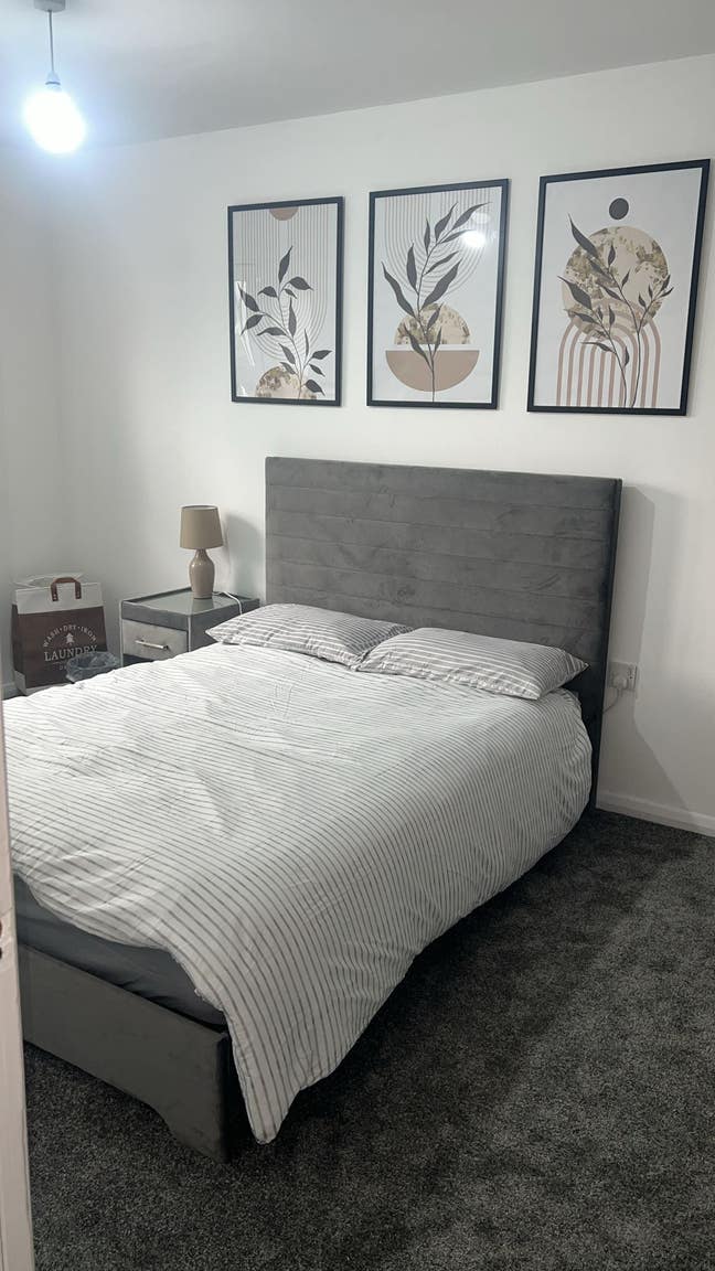 Double Bed Room for Professionals and Students  Main Photo