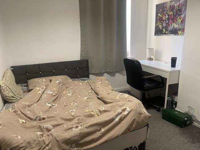 Seeking a house mate Main Photo