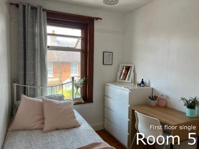 Lovely single room in all female house Main Photo