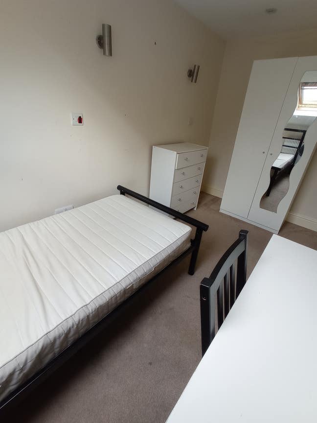 Single room, fun household, great location Main Photo