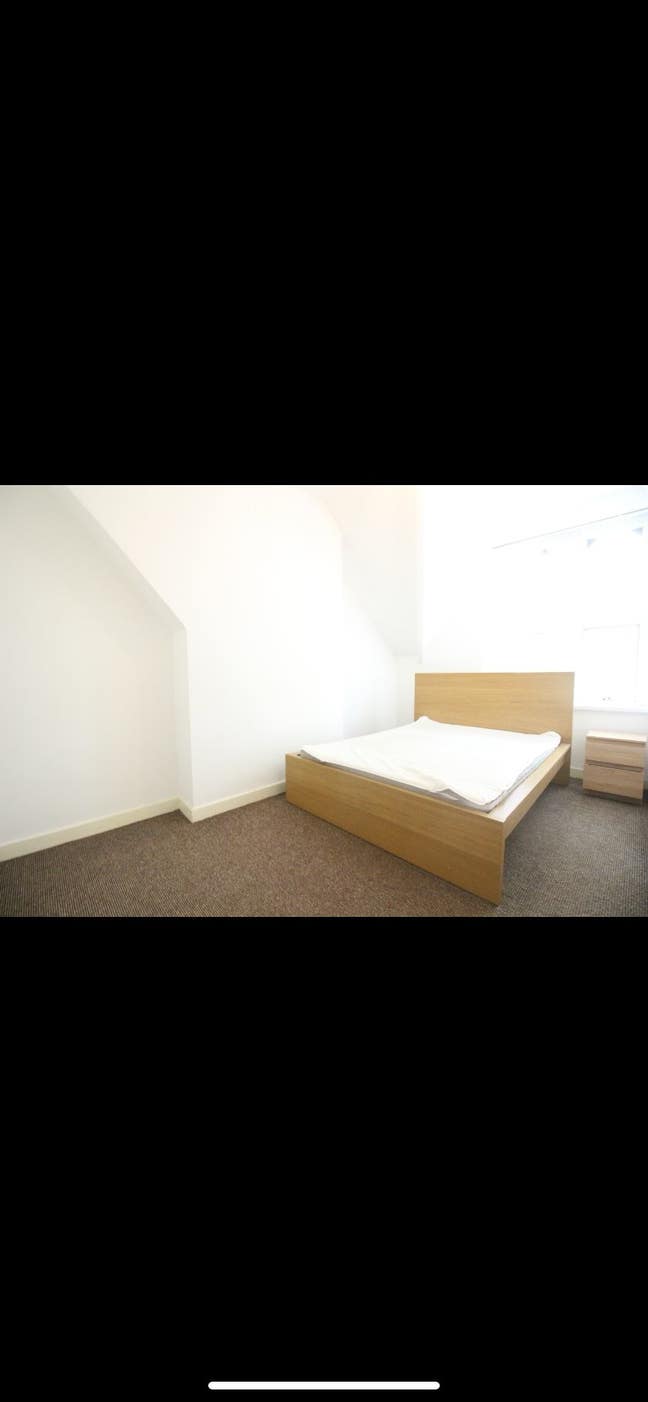 Female Roommate wanted! Main Photo