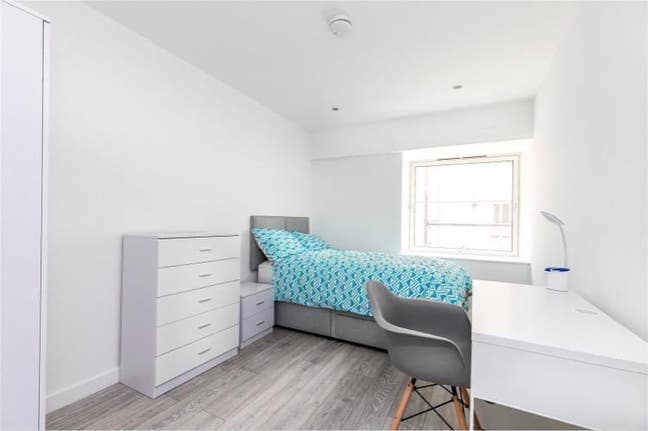 Luxury Rooms! No Deposit! Main Photo