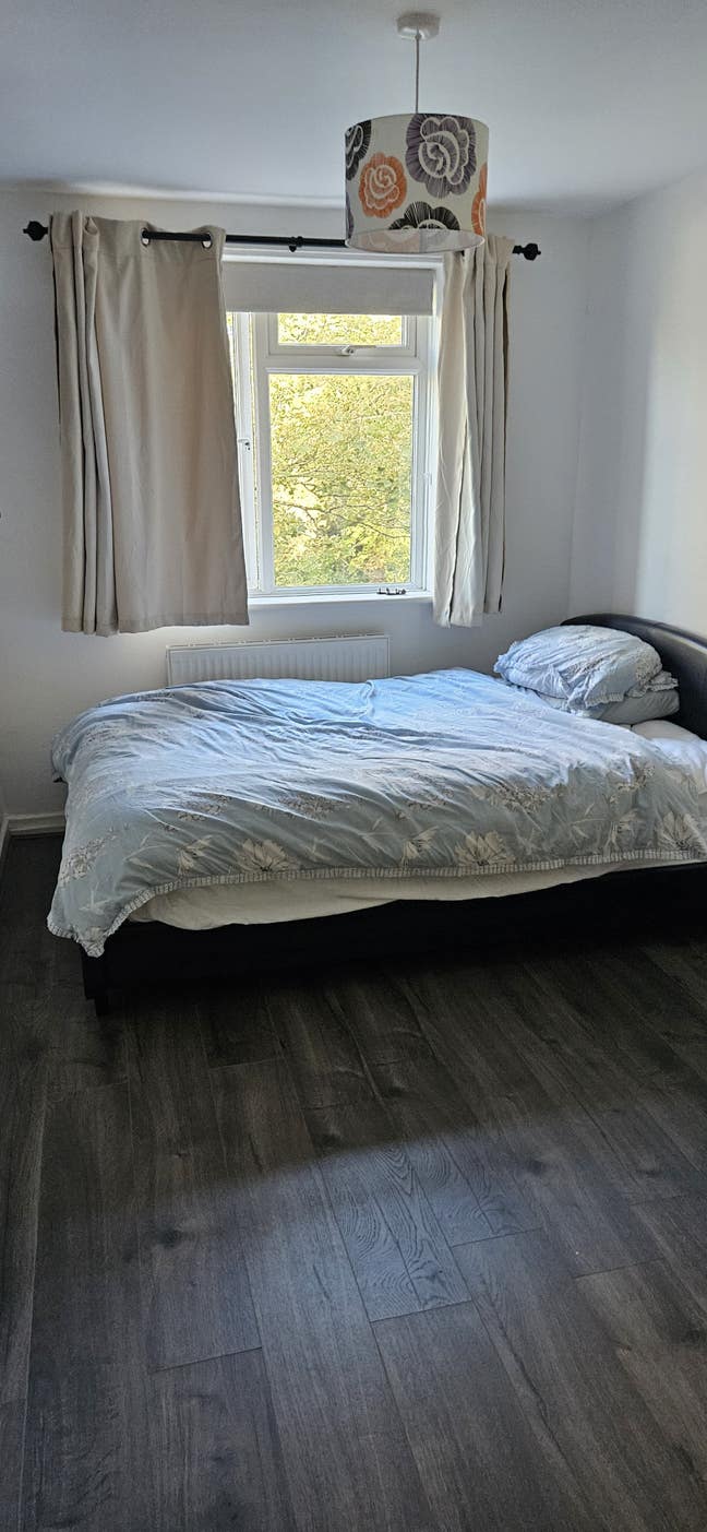 Double room in 2 bed apt central but quiet  Main Photo