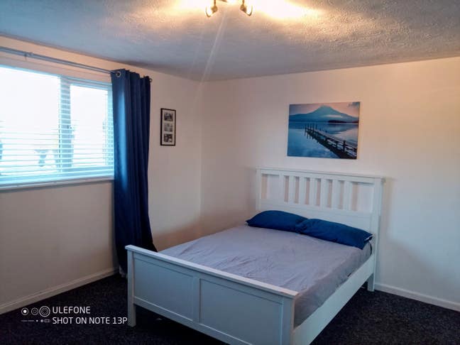 Large quiet room available  Main Photo