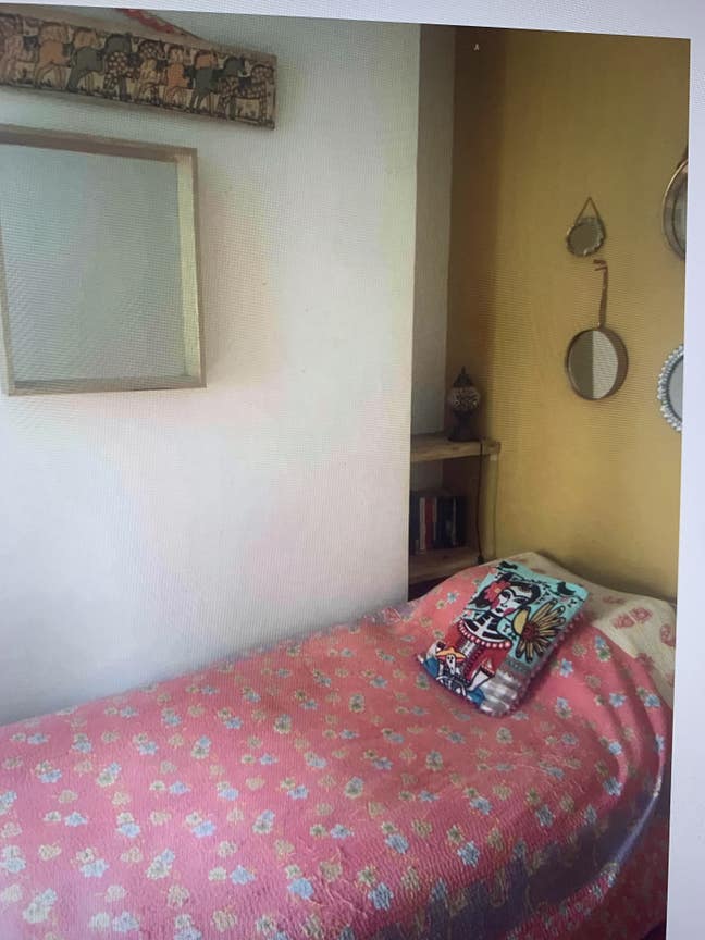 Single room in light airy apartments  Main Photo