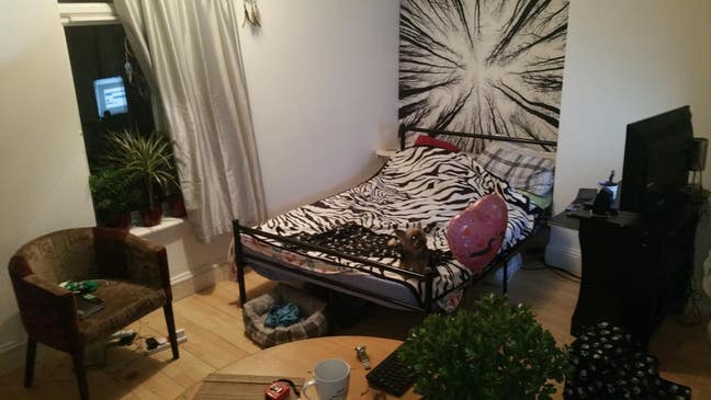 Very Large 1/2 Bed City Centre Flats Main Photo