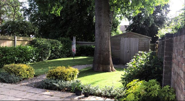 Welcome to the Tree House 🌳🌳 Main Photo