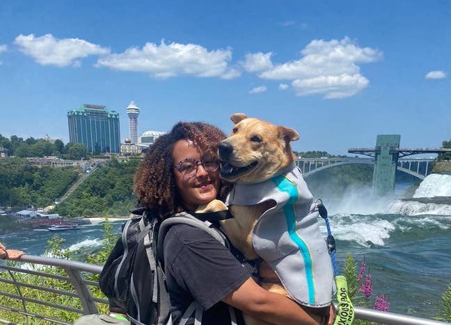 Seeking a quiet pet-friendly space! Main Photo