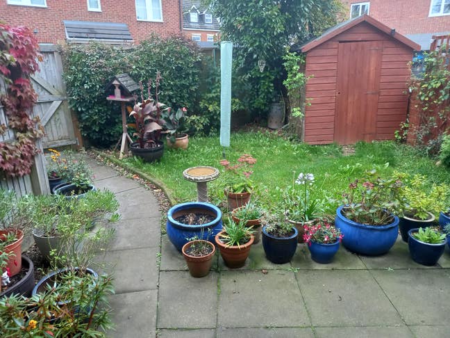 1 Room to rent- Available from 01.02.26 Main Photo