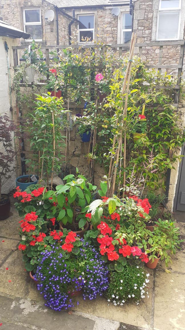 Available 30 March 2026 (5 min walk frm train stn) Main Photo