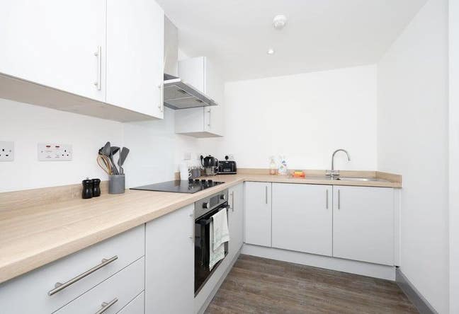 *Live Comfortably: 1-Bed Flatshare for Students* Main Photo